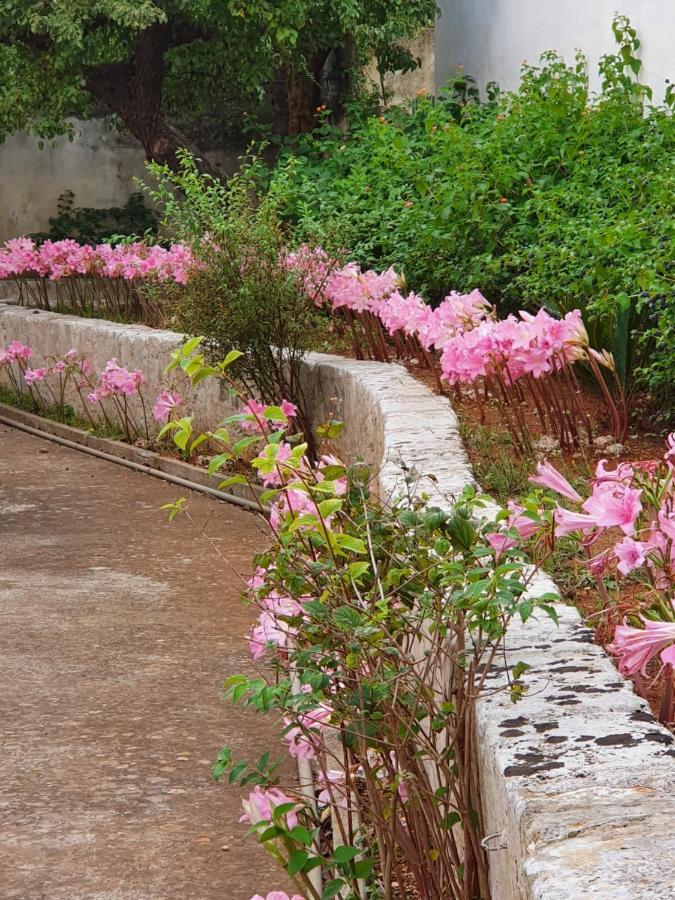 Villa Nel Salento - Ampie Camere E Giardino, Fino A 9 Persone Barbarano del Capo Екстер'єр фото
