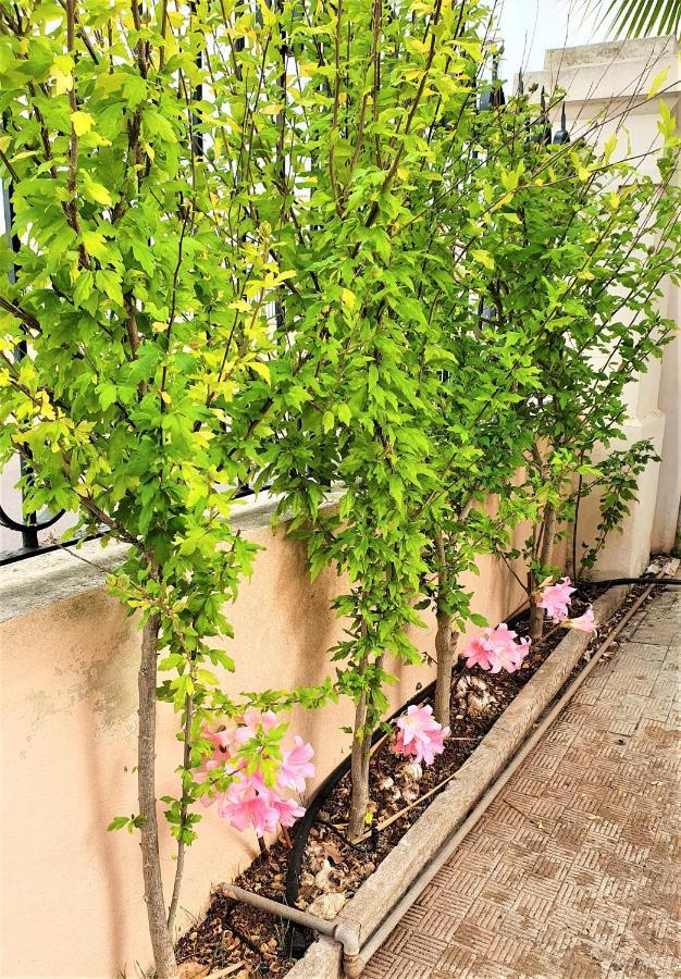 Villa Nel Salento - Ampie Camere E Giardino, Fino A 9 Persone Barbarano del Capo Екстер'єр фото